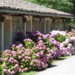 Le Moulin - Bild 18 Le Moulin - Bild 18