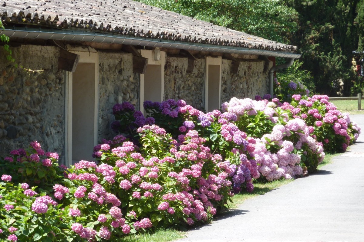 Le Moulin - Bild 18 Le Moulin - Bild 18