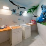 Le Palme Lazise Family Collection - Bild 20 Le Palme Lazise Family Collection - Bild 20