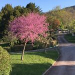 Le Village Des Sources - Bild 12