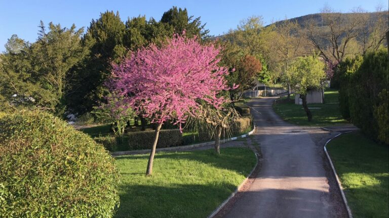 Le Village Des Sources - Bild 12