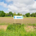 Lentemaheerd - Bild 13 Lentemaheerd - Bild 13