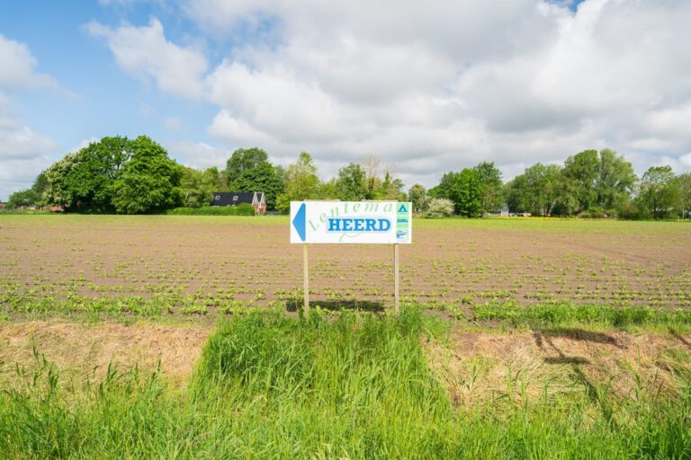 Lentemaheerd - Bild 13 Lentemaheerd - Bild 13