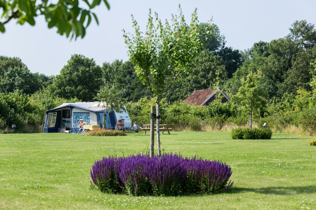 Lentemaheerd - Bild 14 Lentemaheerd - Bild 14