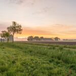 Lentemaheerd - Bild 5 Lentemaheerd - Bild 5