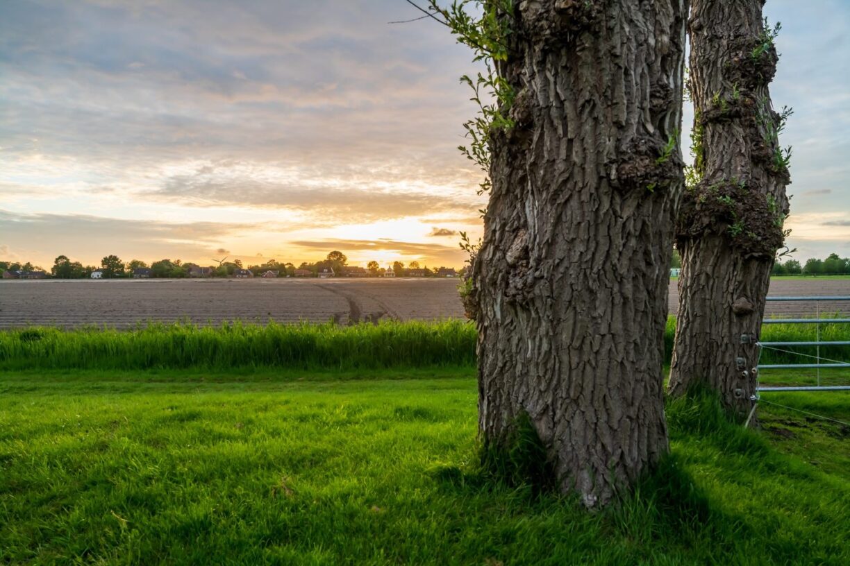 Lentemaheerd - Bild 6 Lentemaheerd - Bild 6