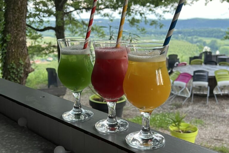 Les Bois De Prayssac - Bild 11