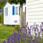 Les Voiles Des 2 Caps - Bild 6