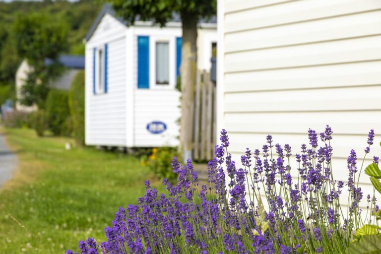 Les Voiles Des 2 Caps - Bild 6