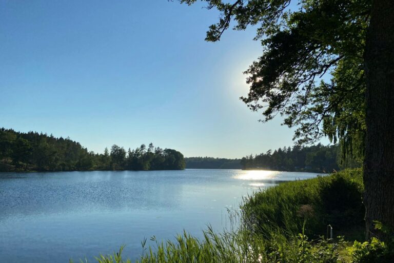 Ljuvadal Camping & Upplevelser - Bild 12