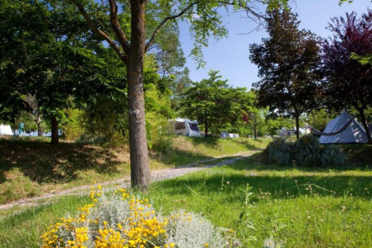 Ludo Camping - Bild 7