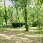 Ludo Camping - Bild 9