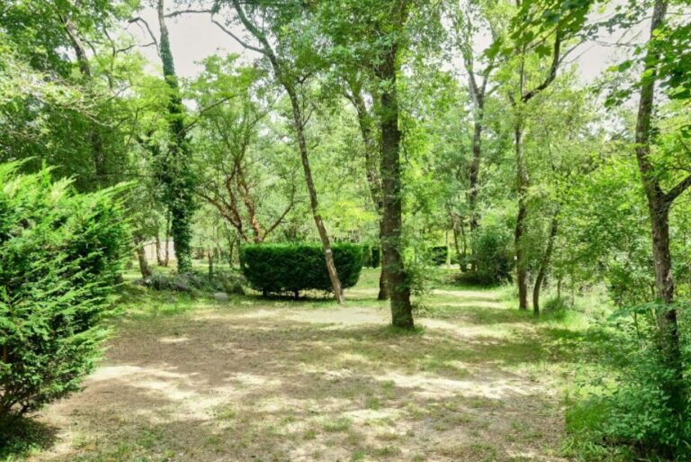 Ludo Camping - Bild 9