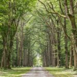 L´orangerie De Beauregard - Bild 10