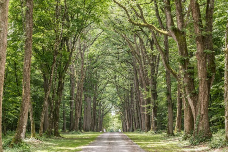 L´orangerie De Beauregard - Bild 10