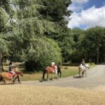 L´orangerie De Beauregard - Bild 2