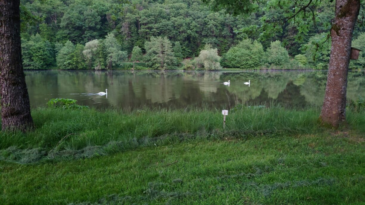 Main Glueck Camping - Bild 6 Main Glueck Camping - Bild 6