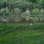 Main Glueck Camping - Bild 6 Main Glueck Camping - Bild 6