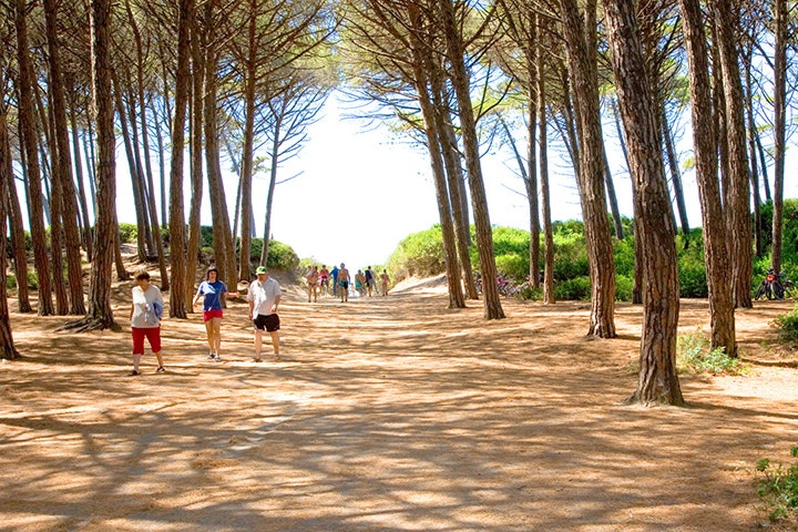 Mareblu Camping Village - Bild 4 Mareblu Camping Village - Bild 4