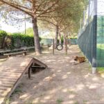 Marina Family Resort - Bild 14