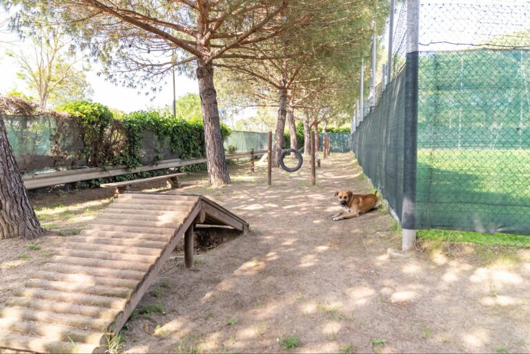 Marina Family Resort - Bild 14