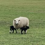 Marinapark Residentie Bloemendaal - Bild 20