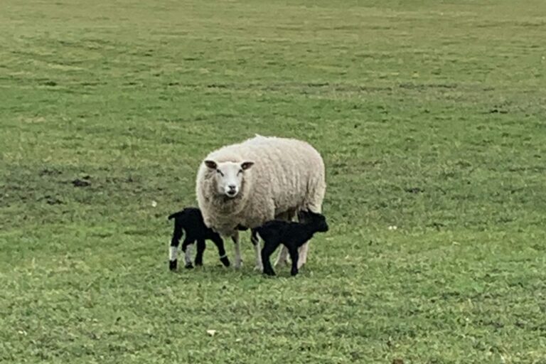 Marinapark Residentie Bloemendaal - Bild 20
