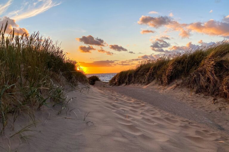 Mellbystrands Camping - Bild 4 Mellbystrands Camping - Bild 4