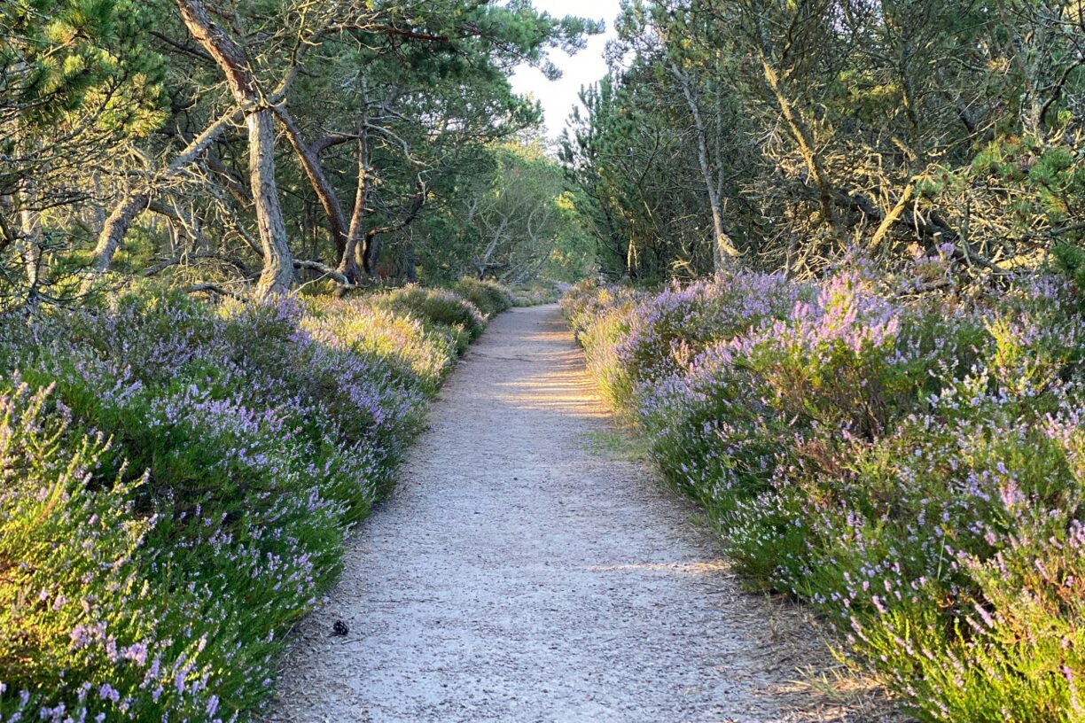 Mellbystrands Camping - Bild 5 Mellbystrands Camping - Bild 5