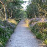 Mellbystrands Camping - Bild 5 Mellbystrands Camping - Bild 5