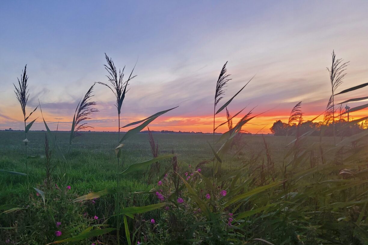 Minicamping De Grutte Earen - Bild 13 Minicamping De Grutte Earen - Bild 13