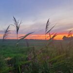 Minicamping De Grutte Earen - Bild 13 Minicamping De Grutte Earen - Bild 13