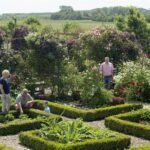 Minicamping & Kloostertuin Werendijke - Bild 3