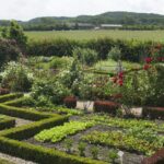 Minicamping & Kloostertuin Werendijke - Bild 6