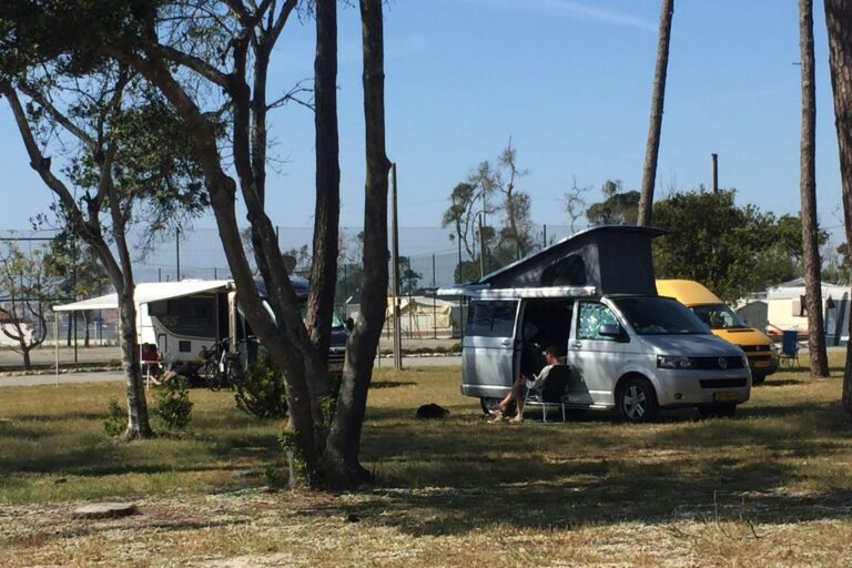 Mira Lodge Park - Bild 2