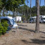 Mira Lodge Park - Bild 3