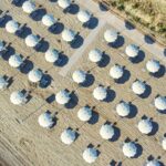 Miramare Camping Village - Bild 14