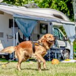 Miramare Camping Village - Bild 6