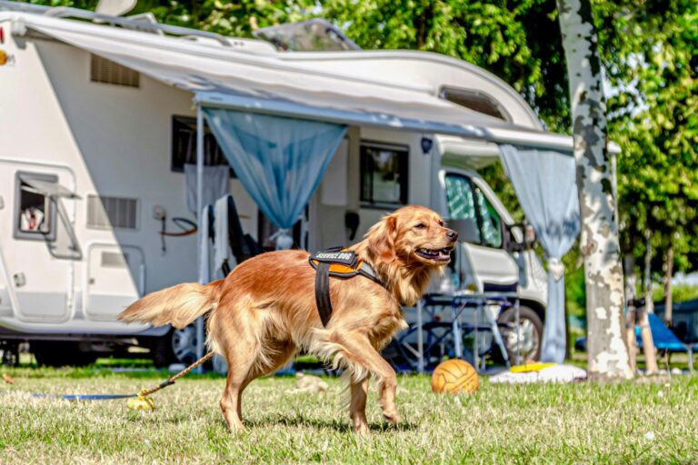 Miramare Camping Village - Bild 6