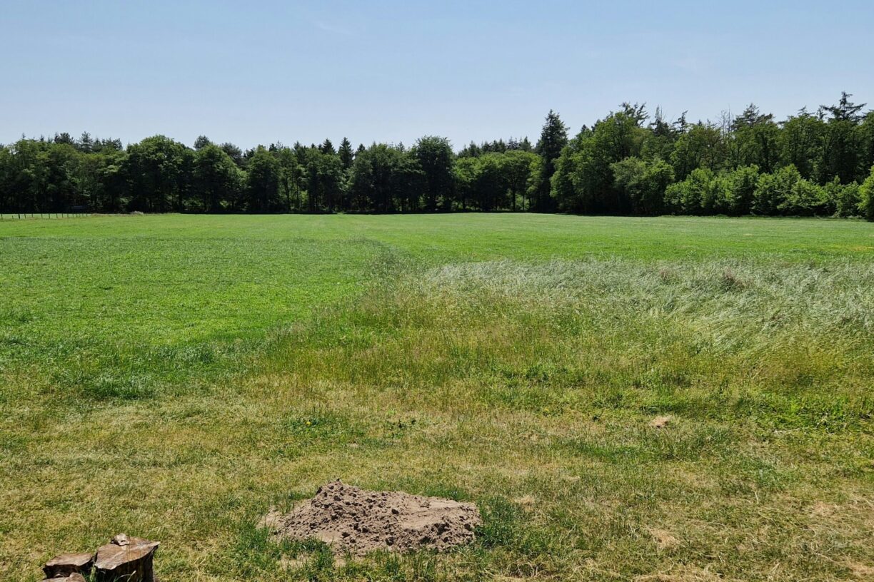 Mooirust - Bild 3 Mooirust - Bild 3