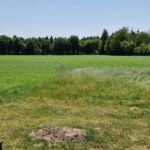 Mooirust - Bild 3 Mooirust - Bild 3