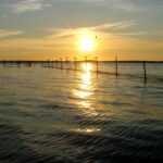 Natur Camping Usedom - Bild 6 Natur Camping Usedom - Bild 6