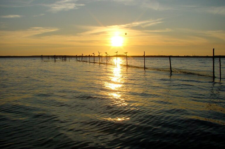 Natur Camping Usedom - Bild 6 Natur Camping Usedom - Bild 6