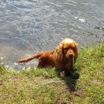 Natur & City Camping Ellwangen - Bild 7 Natur & City Camping Ellwangen - Bild 7