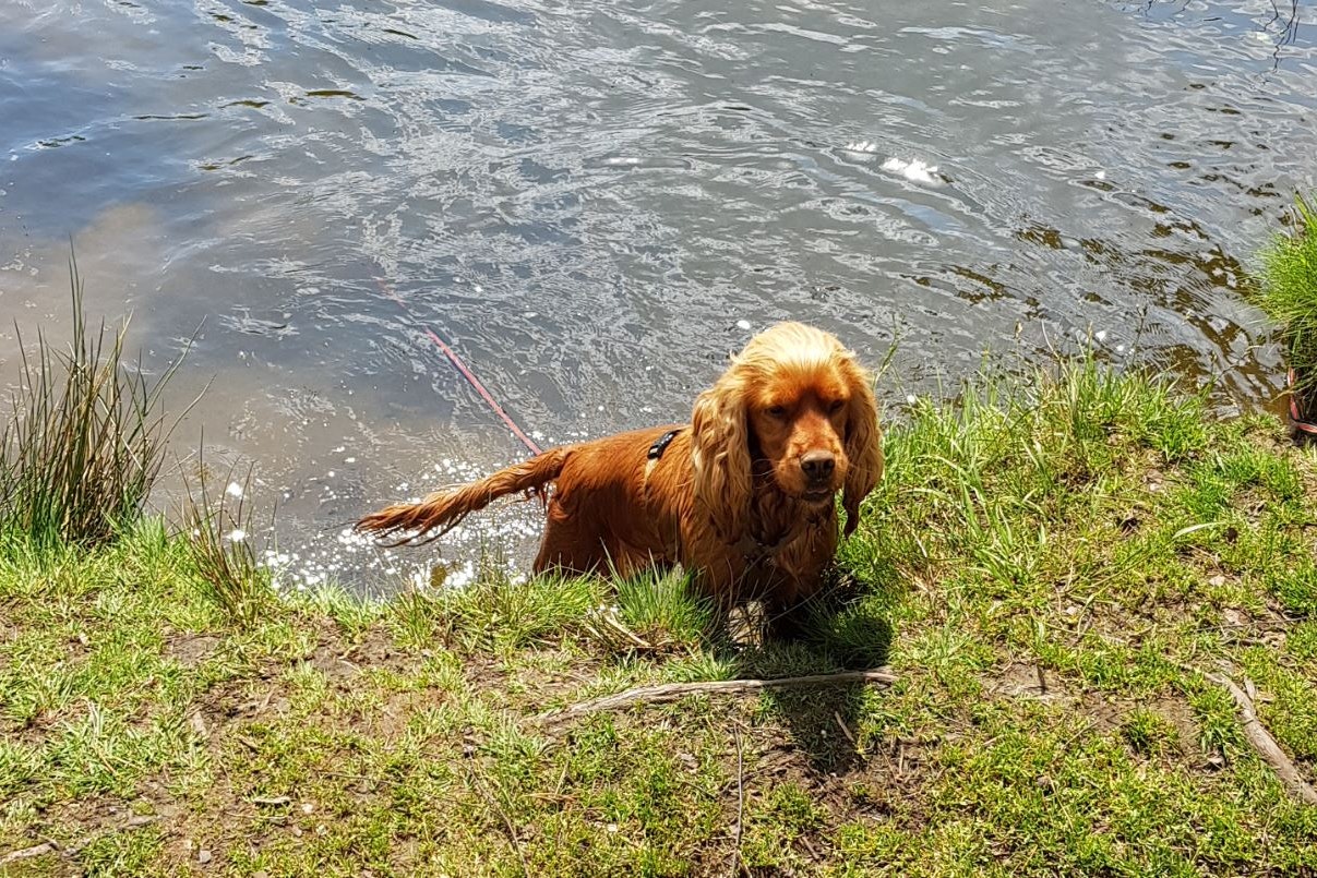 Natur & City Camping Ellwangen - Bild 7 Natur & City Camping Ellwangen - Bild 7