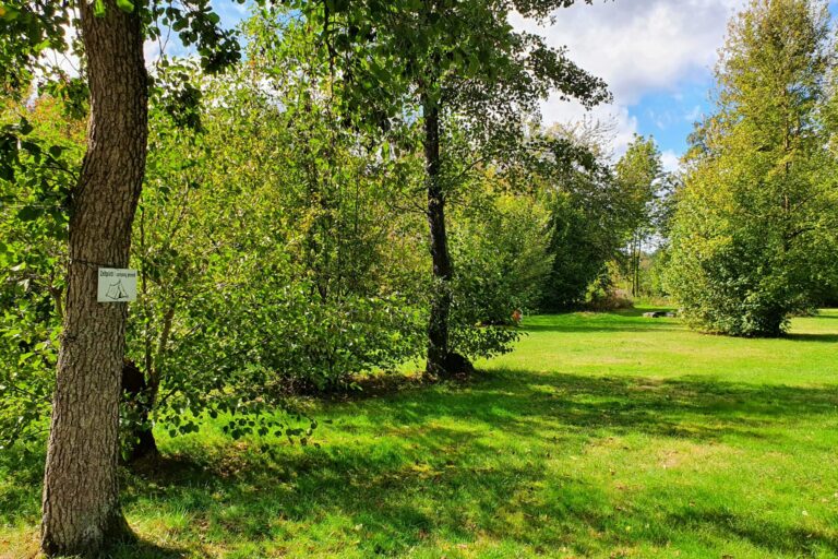 Natur & City Camping Ellwangen - Bild 8 Natur & City Camping Ellwangen - Bild 8