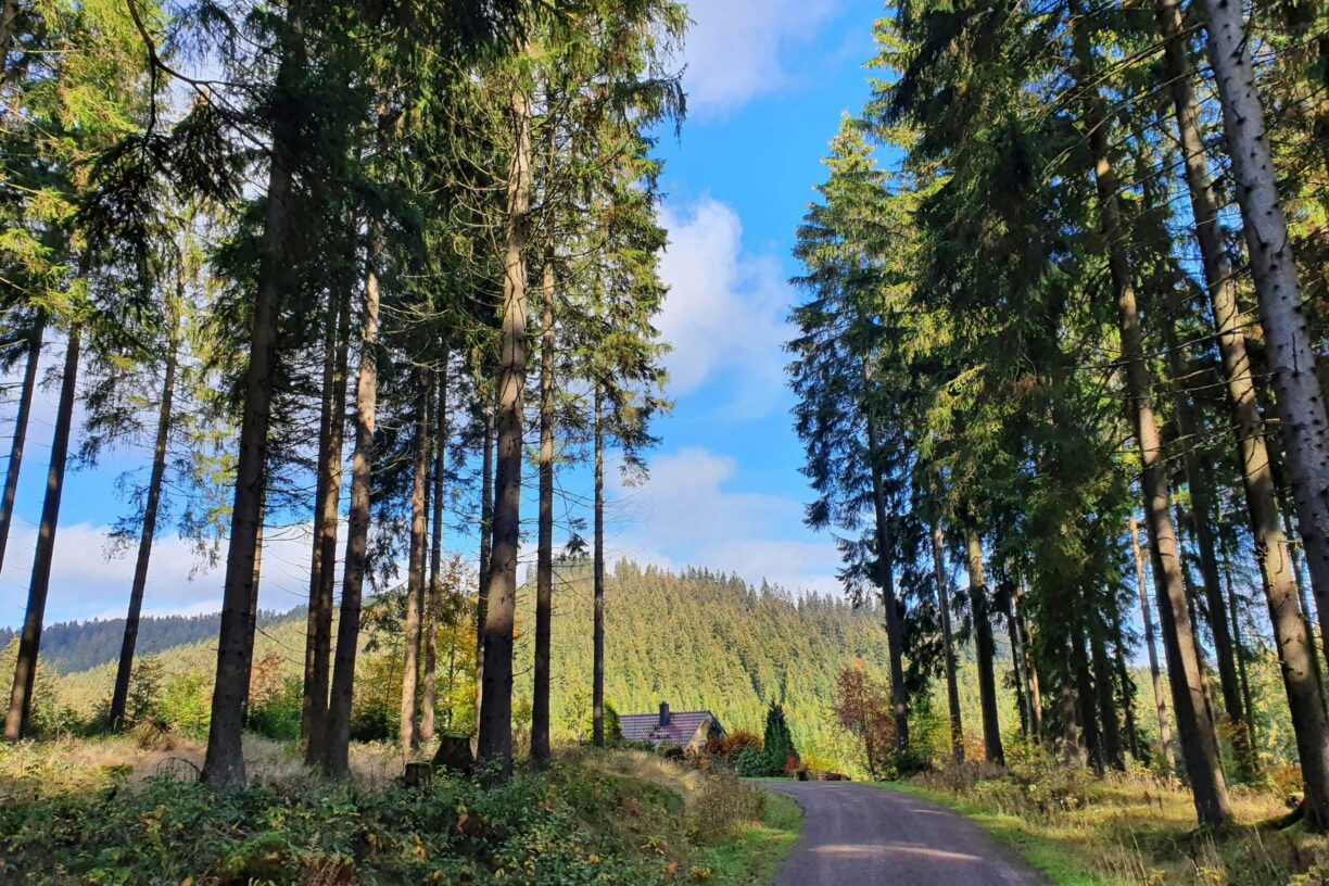 Naturcamp Meyersgrund - Bild 10 Naturcamp Meyersgrund - Bild 10