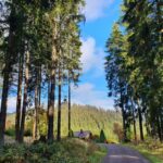 Naturcamp Meyersgrund - Bild 10 Naturcamp Meyersgrund - Bild 10