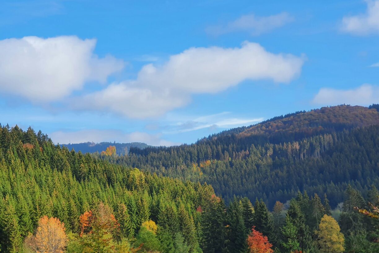 Naturcamp Meyersgrund - Bild 11 Naturcamp Meyersgrund - Bild 11