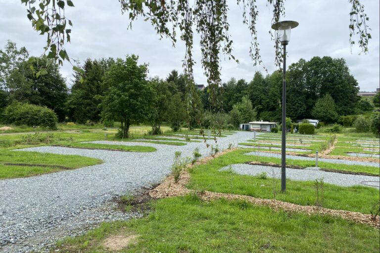 Naturcamp Steinwald - Bild 12 Naturcamp Steinwald - Bild 12